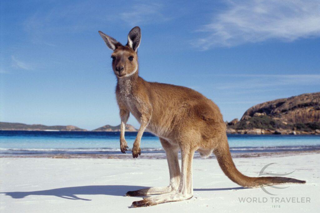 Things to do in Australia