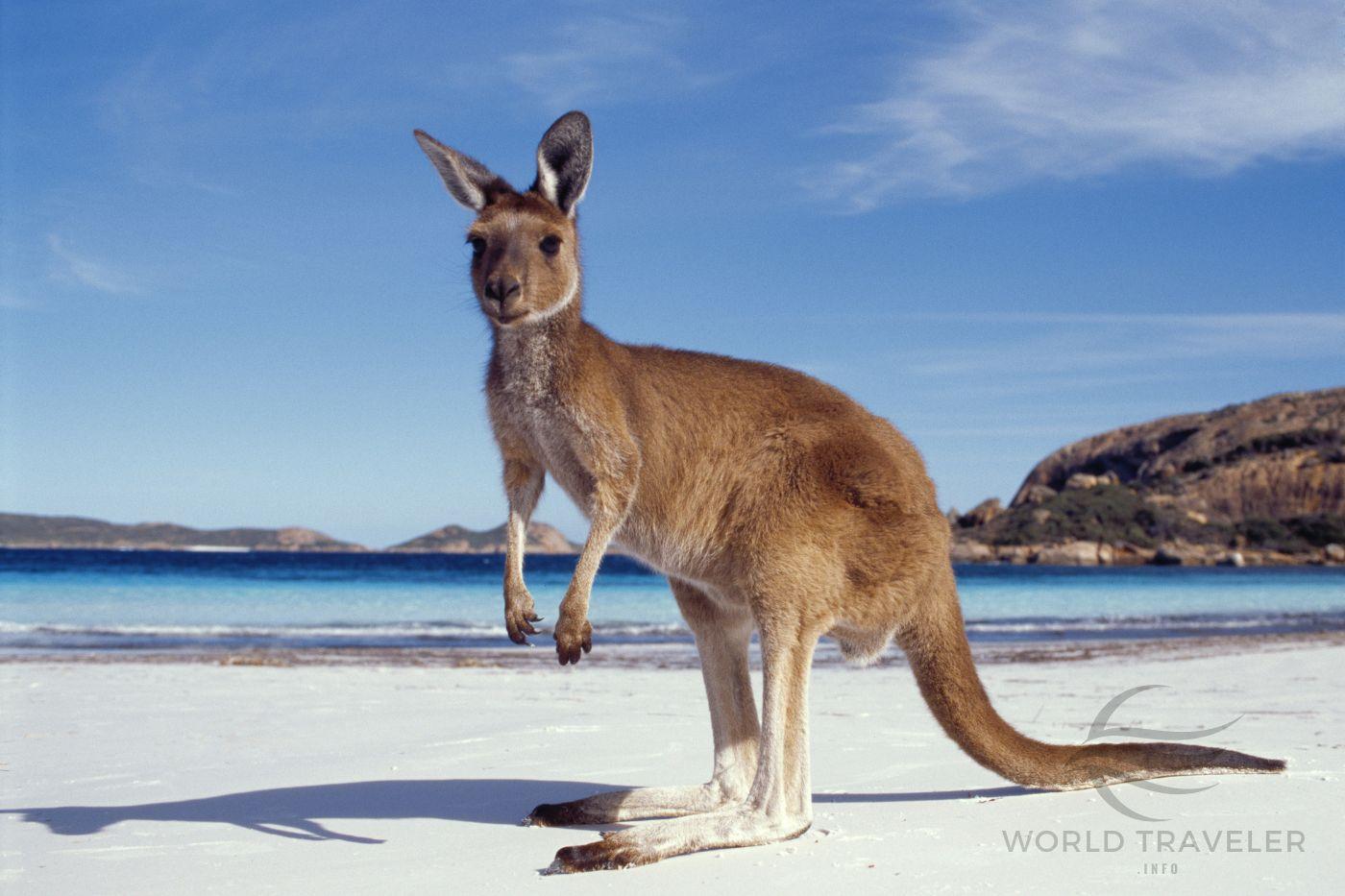 Things to do in Australia