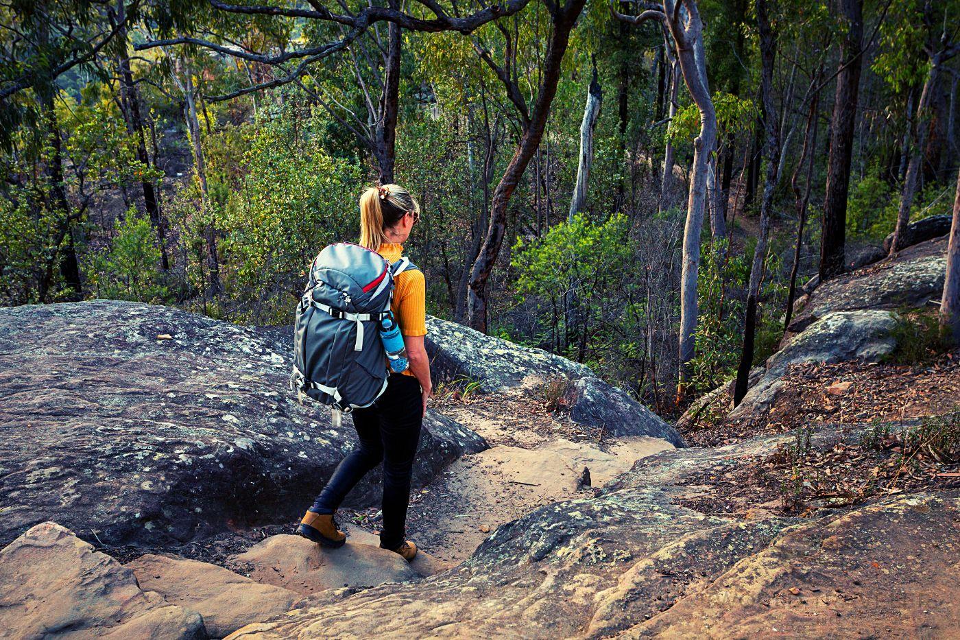 Hiking In The Blue Mountains